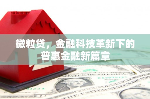 泸州微粒贷，金融科技革新下的普惠金融新篇章
