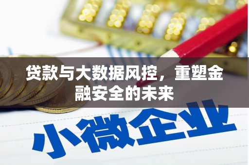 泸州贷款与大数据风控，重塑金融安全的未来