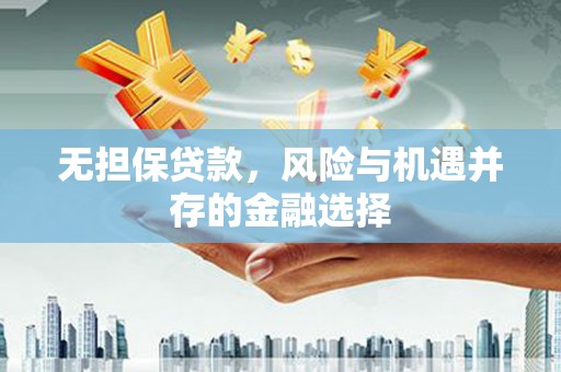 泸州无担保贷款，风险与机遇并存的金融选择