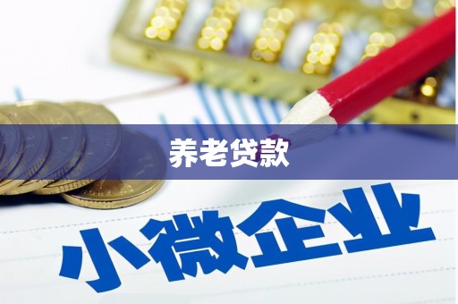泸州养老贷款