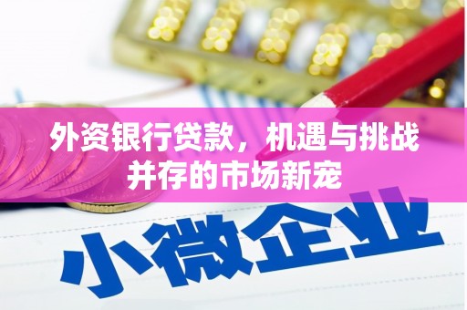 泸州外资银行贷款，机遇与挑战并存的市场新宠