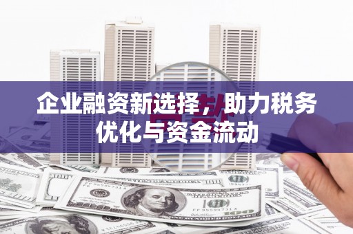 泸州企业融资新选择，助力税务优化与资金流动