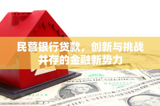 泸州民营银行贷款，创新与挑战并存的金融新势力