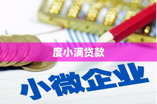 泸州度小满贷款