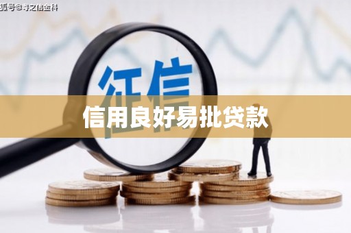 泸州信用良好易批贷款