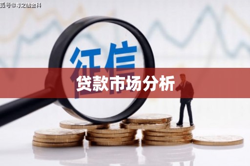 泸州贷款市场分析