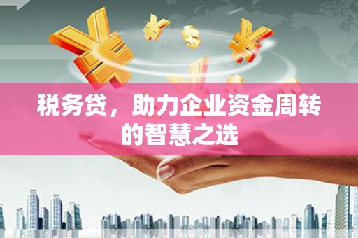 泸州税务贷，助力企业资金周转的智慧之选