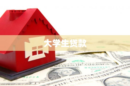 泸州大学生贷款