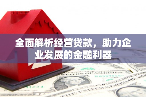 泸州全面解析经营贷款，助力企业发展的金融利器