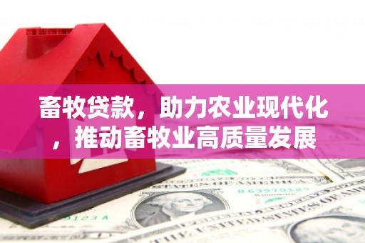 泸州畜牧贷款，助力农业现代化，推动畜牧业高质量发展