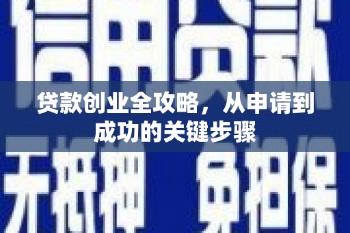泸州贷款创业全攻略，从申请到成功的关键步骤