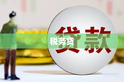 泸州税务贷
