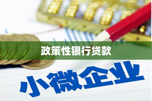 泸州政策性银行贷款