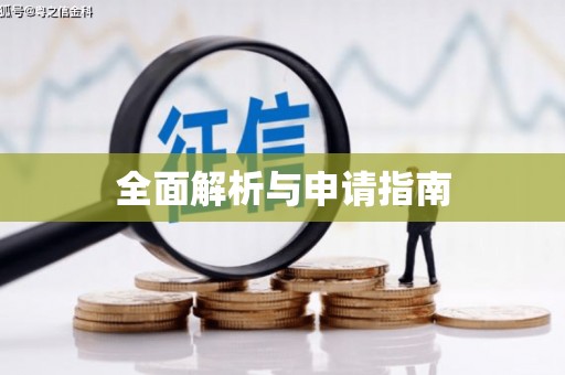 泸州全面解析与申请指南