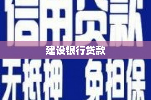 泸州建设银行贷款