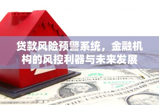 泸州贷款风险预警系统，金融机构的风控利器与未来发展