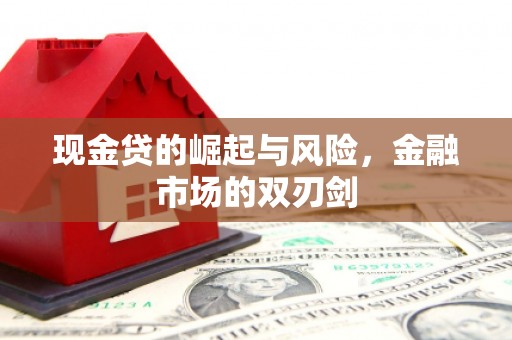 泸州现金贷的崛起与风险，金融市场的双刃剑
