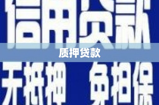 泸州质押贷款