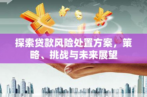 泸州探索贷款风险处置方案，策略、挑战与未来展望