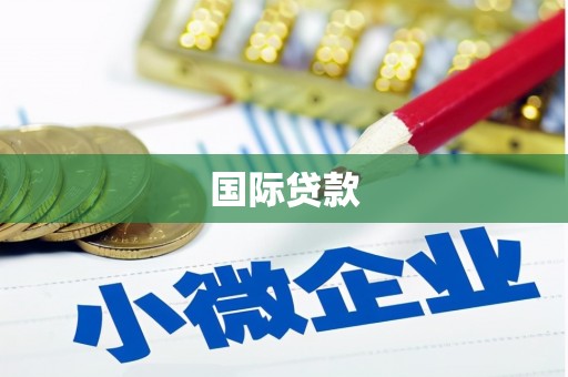 泸州国际贷款
