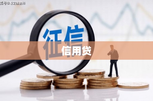 泸州信用贷
