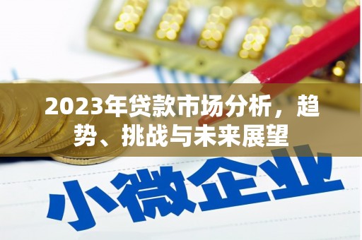 泸州2023年贷款市场分析，趋势、挑战与未来展望