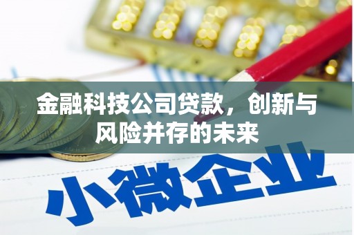 泸州金融科技公司贷款，创新与风险并存的未来