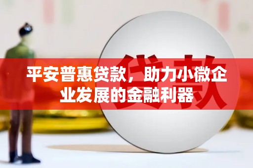 泸州平安普惠贷款，助力小微企业发展的金融利器