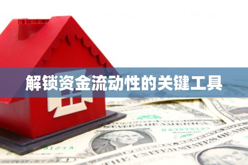 泸州解锁资金流动性的关键工具