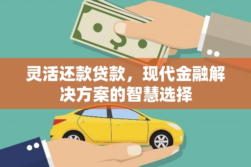 泸州灵活还款贷款，现代金融解决方案的智慧选择