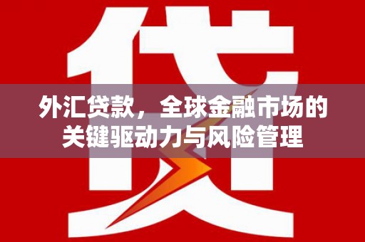 泸州外汇贷款，全球金融市场的关键驱动力与风险管理