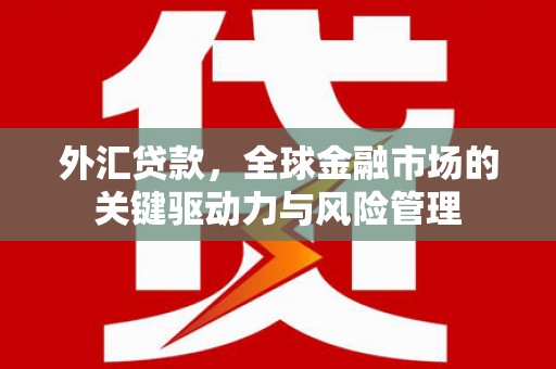 泸州外汇贷款，全球金融市场的关键驱动力与风险管理