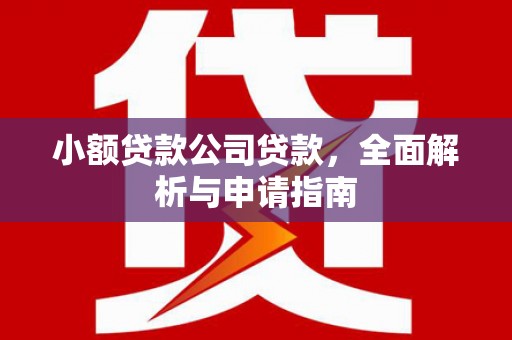 泸州小额贷款公司贷款，全面解析与申请指南