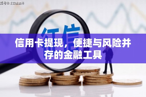 泸州信用卡提现，便捷与风险并存的金融工具