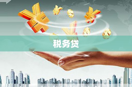 泸州税务贷