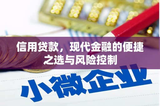 泸州信用贷款，现代金融的便捷之选与风险控制