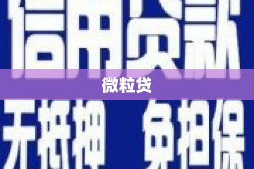 泸州微粒贷
