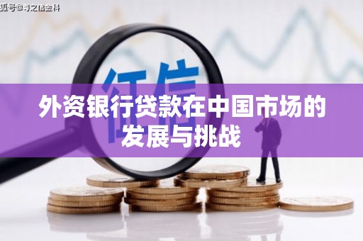 泸州外资银行贷款在中国市场的发展与挑战
