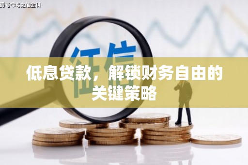 泸州低息贷款，解锁财务自由的关键策略