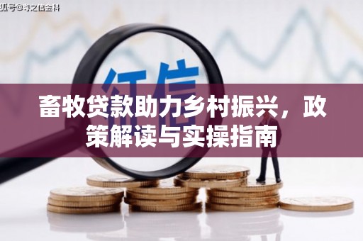 泸州畜牧贷款助力乡村振兴，政策解读与实操指南
