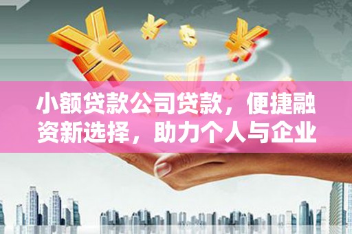 泸州小额贷款公司贷款，便捷融资新选择，助力个人与企业成长