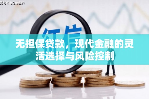 泸州无担保贷款，现代金融的灵活选择与风险控制