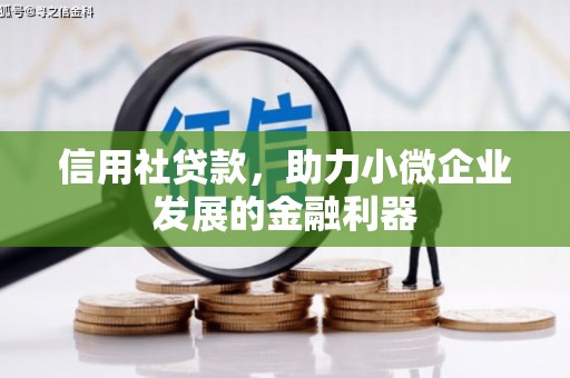 泸州信用社贷款，助力小微企业发展的金融利器