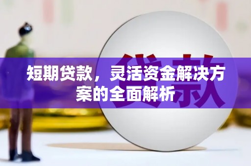 泸州短期贷款，灵活资金解决方案的全面解析