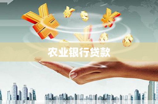 泸州农业银行贷款