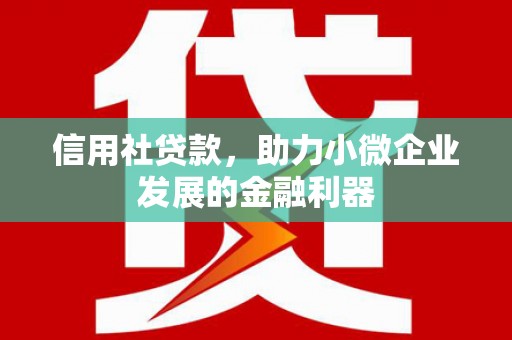 泸州信用社贷款，助力小微企业发展的金融利器