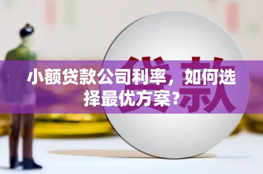 泸州小额贷款公司利率，如何选择最优方案？