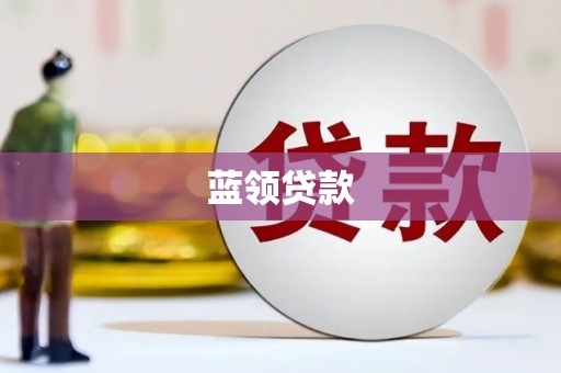 泸州蓝领贷款