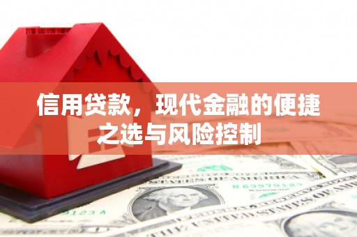 泸州信用贷款，现代金融的便捷之选与风险控制
