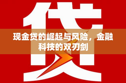 泸州现金贷的崛起与风险，金融科技的双刃剑